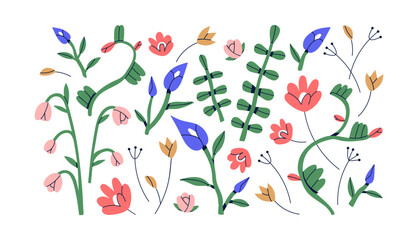 Abstract floral set. Field and garden flowers, leaf plants, branches, blossoms. Nature decoration. Spring and summer decor, wildflowers. Flat vector illustrations isolated on white background