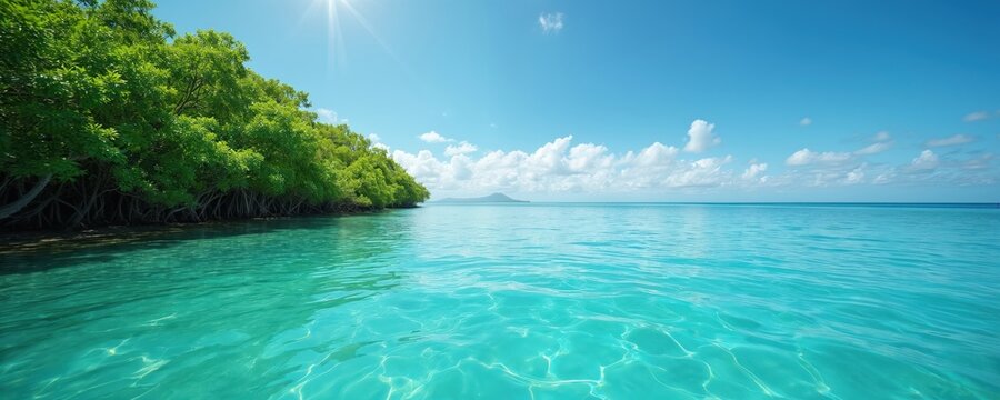 Clear turquoise ocean water laps against lush green mangrove trees under a bright blue sky with sun rays. Calm sea reflects sunlight creating patterns. Distant island visible on the horizon.