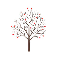 Fototapeta premium Minimalist Autumn Tree with Few Red Leaves on White Background
