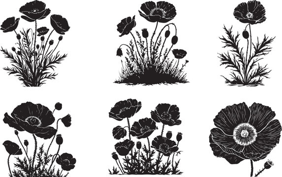 Black poppy flower silhouette, linocut style, high resolution