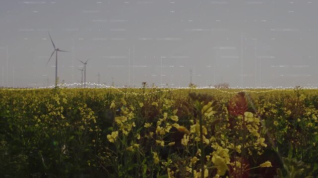 Yellow crop field swaying in breeze, camera moving forward, dotted waveform visualizing wind energy