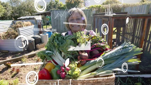 Senior gardener presenting basket to camera for agriculture, starting HUD overlays measuring yield