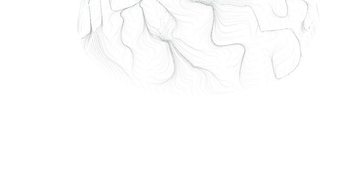 Abstract artwork showing lines creating a pattern evoking a brain or a cerebral landscape