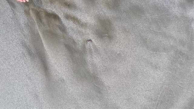 Waves crashing against the beach sand on a warm tropical afternoon