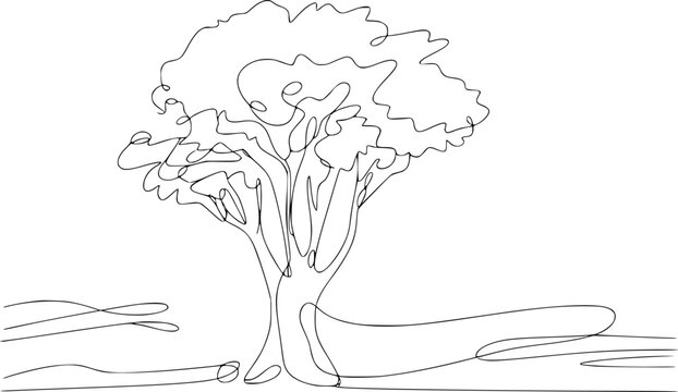 Single line of a tree with flowing branches a white background, nature black