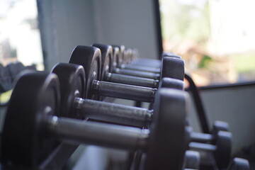 Fototapeta premium Row of metallic dumbbells neatly arranged on a rack in a gym, illuminated by natural light.
