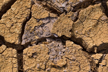Fototapeta premium Isolated dry, cracked soil pieces spread on a white background representing drought, climate change, and arid land