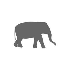 Obraz premium Elephant Silhouette Minimal Icon Gray on Black – Wildlife Animal Design