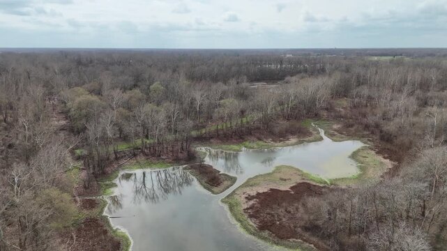 Stunning aerial footage flying backward over a tranquil lake, revealing a vast, leafless winter forest under a cloudy sky. A natural landscape showcasing the bare beauty of the colder season