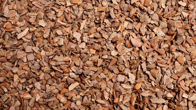 Pine bark substrate soil fraction 6-9 mm for plant cultivation, featuring a textured surface with various shades of brown and orange hues, suitable for gardening and landscaping applications