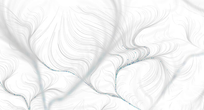 Artistic abstract illustration featuring elegant flowing lines on a bright white backgrou