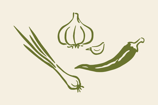 Garlic chili green onion naive doodle vector illustration