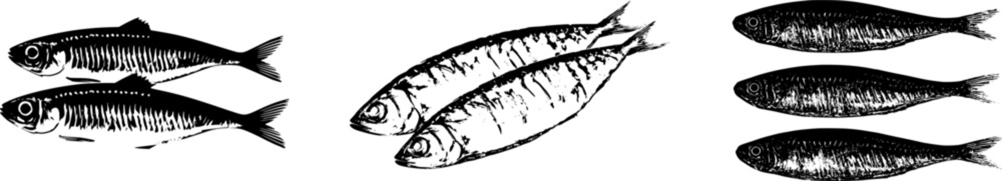 A highly detailed macro of raw Kippers showcases their golden-brown skin and oily flesh against a pure white background