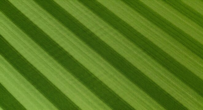 Diagonal stripes of green fields, varying shades. A textured close-up of cultivated land