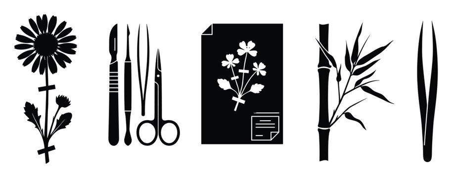 Botanical science tools and plant specimens for biology research and educational resources