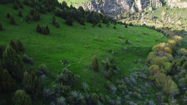 Aerial drone push in shot toward a group of friends resting in a lush green mountain meadow surrounded by juniper forests, Kazakhstan, Sayram-Ugam State National Nature Park.
