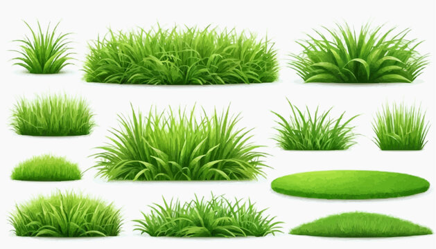 Lush green grass patches vector set, isolated on white background.
 