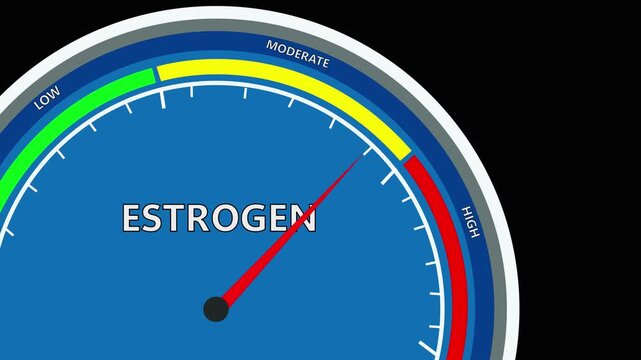 Estrogen speed  meter or indicator conceptual animation