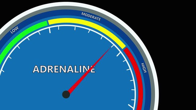 Adrenaline speed meter or indicator conceptual animation