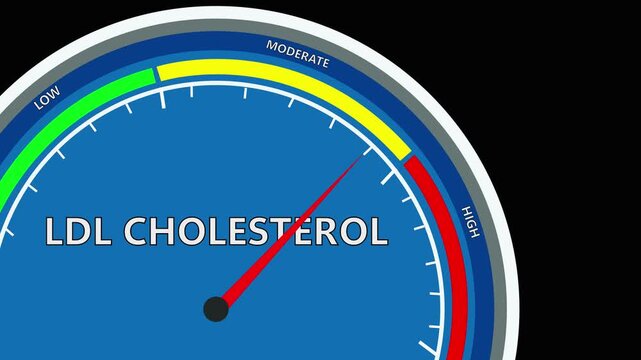 LDL Cholesterol Levels Gauge Animation: Normal, Borderline, and High Medical Indicator presentation infographics. 
