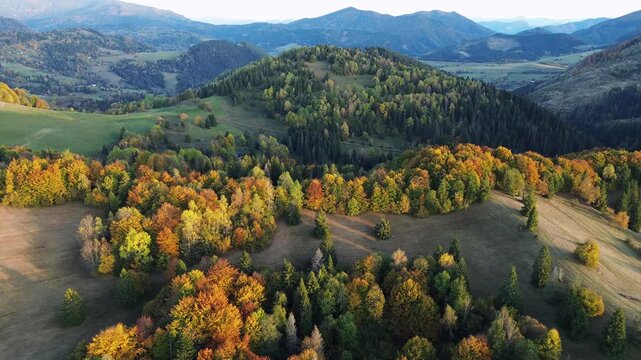 Aerial view of colorful autumn forest in mountain valley