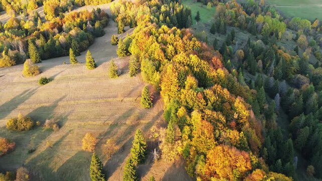 High angle view of mountain ridges covered in autumn forest