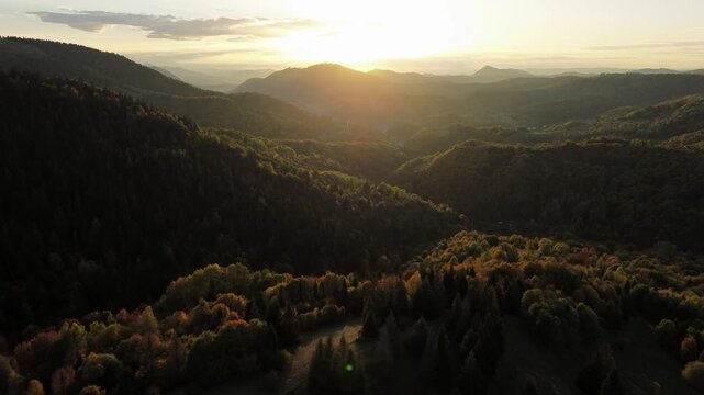 Aerial view of autumn forest at sunset with bright backlighting