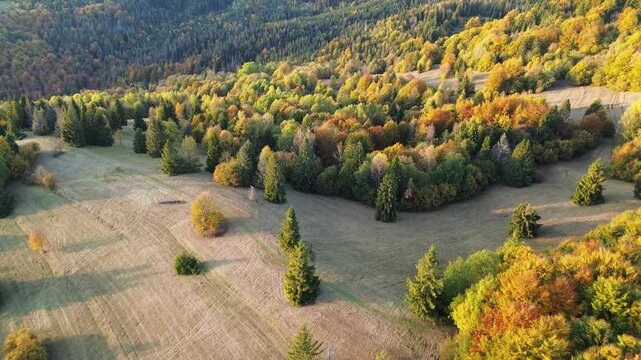 Beautiful autumn landscape with golden trees and meadows