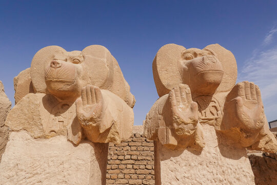 Skulpturen, Affen, Paviane, Ramesseum, Theben-West, &Auml;gypten