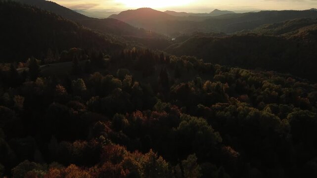 Aerial view of autumn forest at sunset with bright backlighting