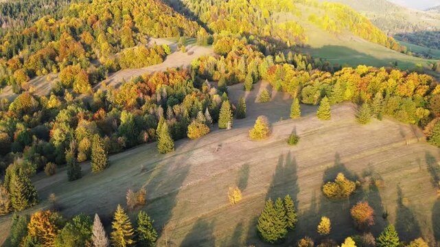 Beautiful autumn landscape with golden trees and meadows
