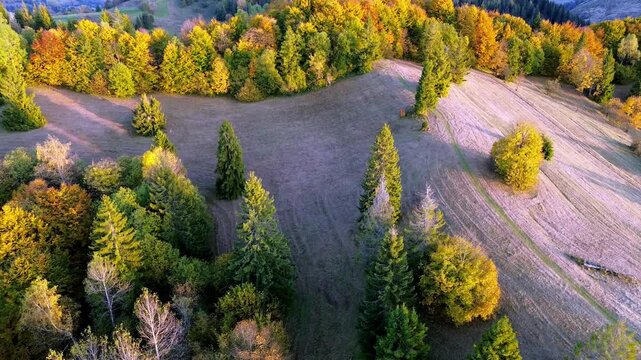 Beautiful autumn landscape with golden trees and meadows