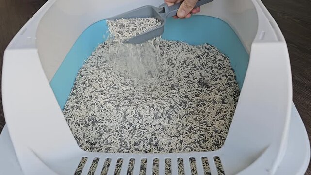 Hand pouring cat litter with plastic scoop into litter box filled with absorbent pellets in home interior close up view of cleaning and pet care routine