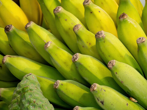 Fresh green bananas at market stall showing unripe tropical fruit bunch with smooth peel in close up display