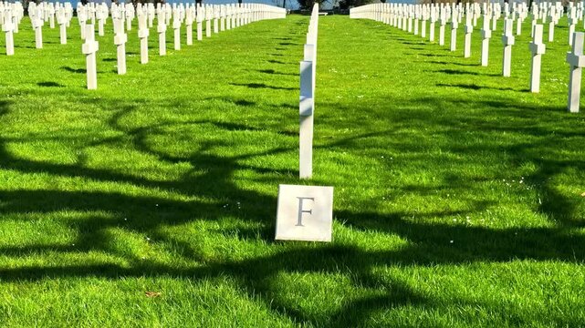 Rows of white crosses at Normandy American Cemetery in France, overlooking the sea in a solemn World War II memorial landscape under bright spring light.