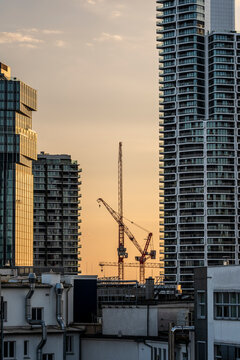 Frankfurt skyline of buildings and tower with cranes shows urban construction and development with highrise architecture and modern growth