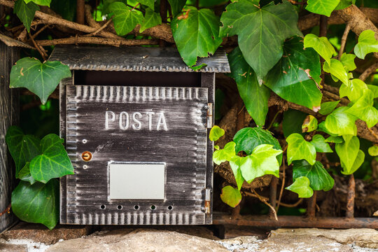 Vintage wooden mailbox with posta inscription surrounded by green ivy leaves on rustic fence in Italy