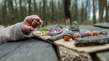 Child's hand holding an acorn with forest treasures on a wooden table © shine.graphics