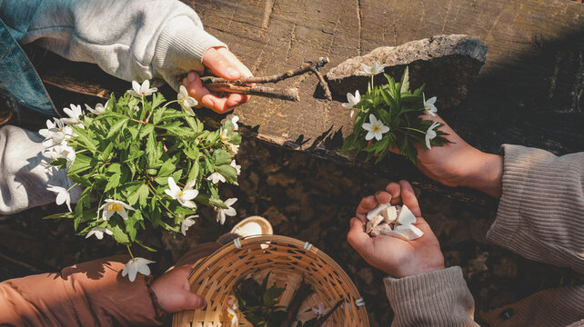 Children's hands collecting wildflowers, stones, and sticks on a wooden surface
