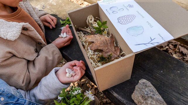 Children exploring nature's treasures in a discovery box outdoors