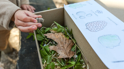 Child's hand holding an acorn over a box filled with nature's treasures © shine.graphics