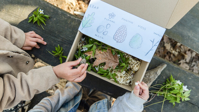 Children exploring nature's treasures in a discovery box with illustrated guide