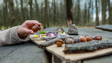 Child's hand holding an acorn with forest nature collection on a wooden table © shine.graphics