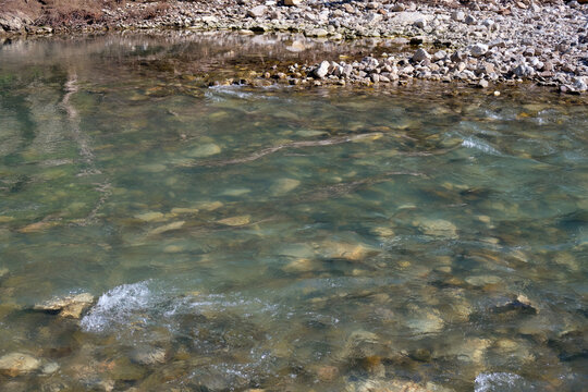 The turquoise water of Khosta River.