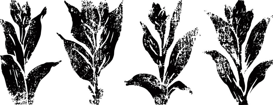 black and white silhouette of four different types of leafy plants with distinct shapes and textures