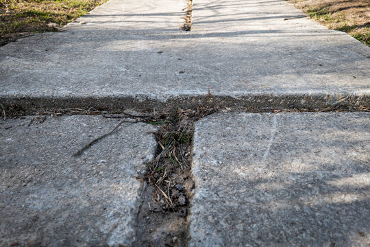 Cracked Sidewalk with Tree Roots Causing Uneven Pavement and Surface Damage