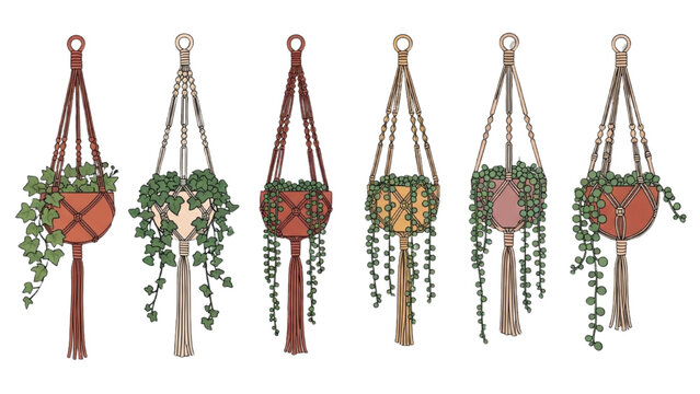Hanging Macrame Planters Icon Set with Trailing Ivy and String of Pearls, Bohemian Style Vector Graphics, Indoor Hanging Plants on White Background