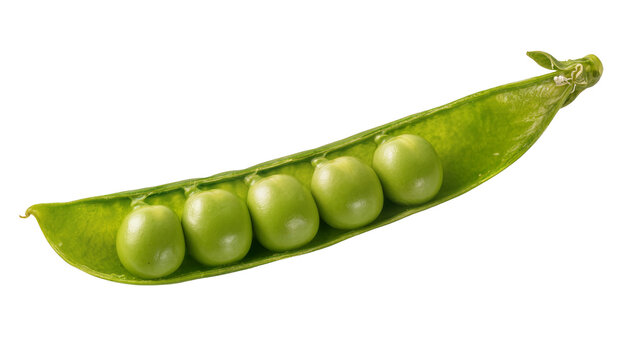 Fresh green pea pod with five round peas, isolated on transparent background