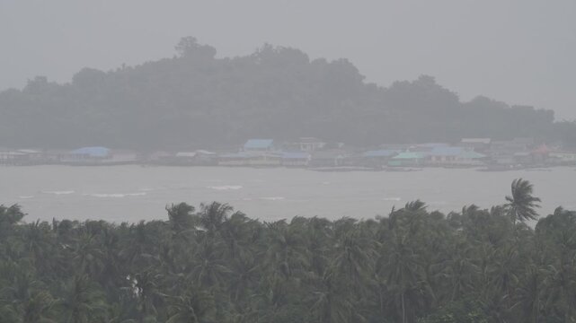Tropical storm with coconut palms bending in high winds. Torrential rain and hurricane conditions.