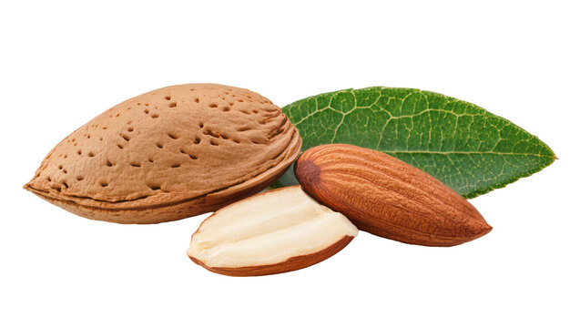 Whole almond in shell shelled almond, and green leaf isolated on transparent background